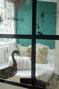 Appartements Surprenantes - L'Ile Mysterieuse : photos des chambres