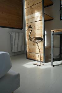 Appartements Surprenantes - L'Ile Mysterieuse : photos des chambres