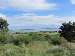 Ferienwohnung im Gutsverwalterhaus Vieregge