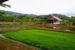 Nok Chan Mee Na - Ban Yang