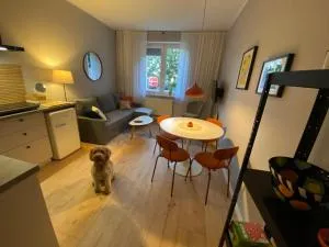 5 minut do Zamku - Malbork