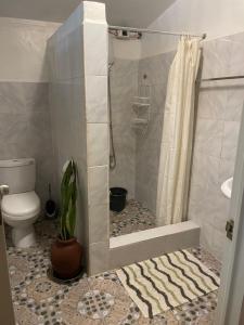 Chelles Guesthouse and Backpackers