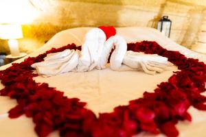 Appartements Le temps suspendu, Nuit sous la roche & jacuzzi : photos des chambres