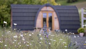 Isla Pod, Kilry eco pods