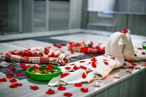 Green Moringa Termal Hotel