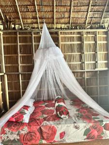 Nyanse Homestay - Raja Ampat