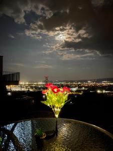 Garsonierǎ la curte si ciubǎr extracost