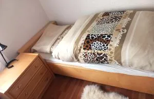 Haus an der Ascha - Ruštejn