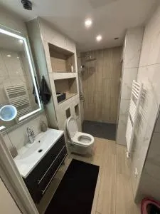 Petit appartement T2 confortable - Champfromier