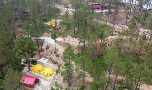 Shiv Forest Villas