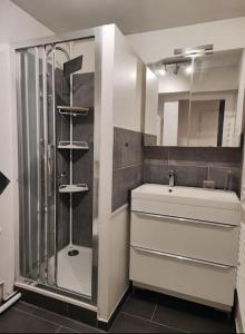 Appartements Charming studio near from CDG airport : photos des chambres