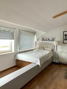 Apartament Pychowicka 18