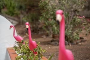 Apto Jardin del Sol Beach by Paramount Holidays