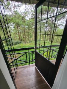 Smiling Pine Dalat - Thông Reo