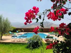 Dar Zitoune , charme et authenticité - Adder