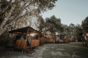 Storms River Forest Lodge