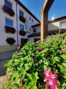 Hotels La Clef des Champs - Proche Colmar : photos des chambres