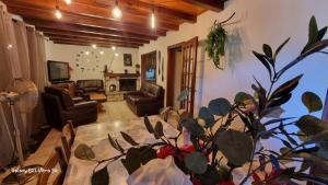 Maisons d'hotes Les Chambres du Saladou : photos des chambres