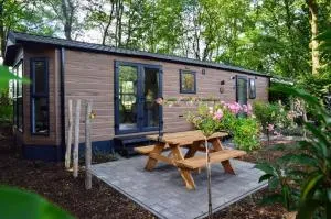 Gezellig vakantiechalet in bosrijke omgeving op de Veluwe - 维尔豪特