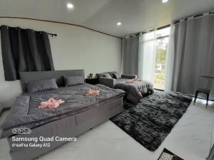 อินทนนท์ เล่าจู