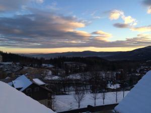 Apartament Srebrny