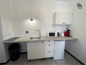 Appartements T1 Bis A3 30m2 Cosy 7min a pieds Gares appartement : Appartement 1 Chambre