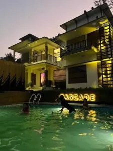 New Cascade - Vythiri