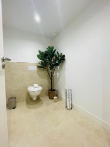 Appartements Casa Atypique : Appartement avec Douche