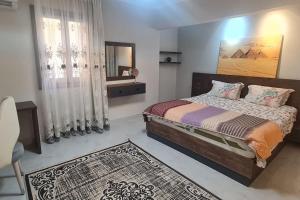 Nasr city studio with terrace