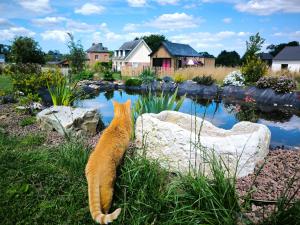 La Petite Eole - Déco 70s, Entre Rouen et Dieppe