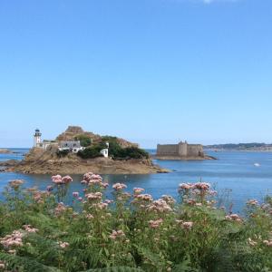 Appartements Le studio Petit Jean - Roscoff : photos des chambres