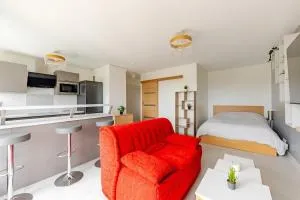 Appartement 1 pièce très chaleureux - 卢维耶