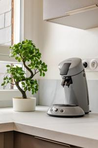 Appartement 1 pièce très chaleureux