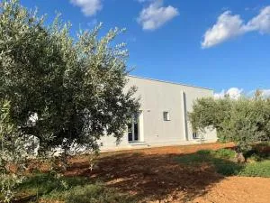 Giardino del Belice - Porto Palo