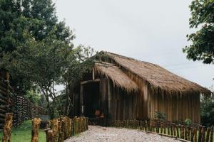 Chi Bo ดอยช้าง