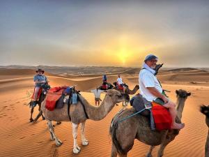 Sahara Family Luxury Camp