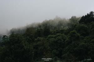 Chi Bo ดอยช้าง