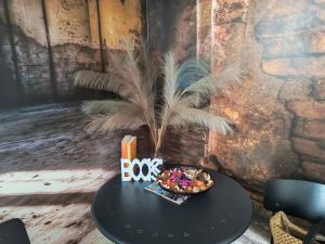 One bedroom by the Park Old Town Belle Vue Timisoara