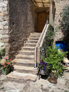 Maisons de vacances Mamienan : photos des chambres