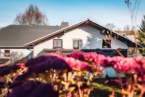 NEU Ferienhaus Paditz mit Pool - Elterlein