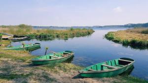 Appartements Nid douillet sous les pins : photos des chambres