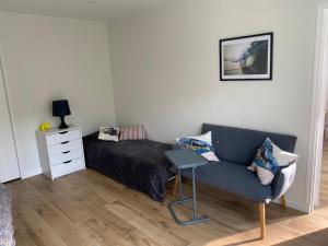 Appartements Nid douillet sous les pins : photos des chambres