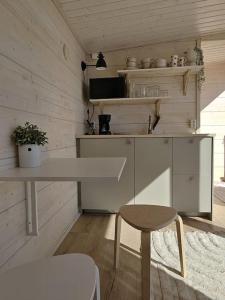 Skandinaavinen mökki rannalla