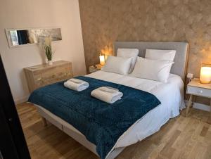 Appartements Le SPA - Villa Valmy - Hypercentre - Gare SNCF : photos des chambres
