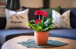 Marios Appartement