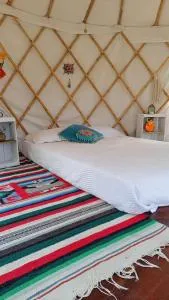 Guardianas del Bosque - Playa Verde