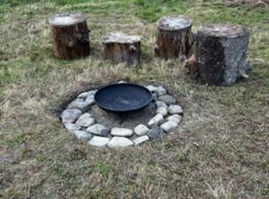 Little Dolwen - Sioned