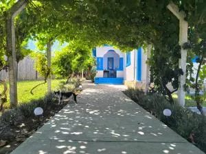 Casa Traditionala Clisciova - 杜纳厄图德乔斯