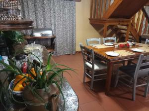 Storms River Forest Lodge