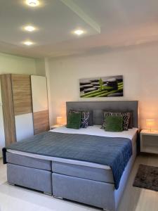 Apartman SONAS with free private parking